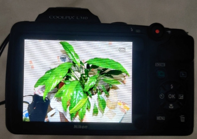 Фотоапарат Nikon COOLPIX L 310 Black 14 MP Київ - фото 5