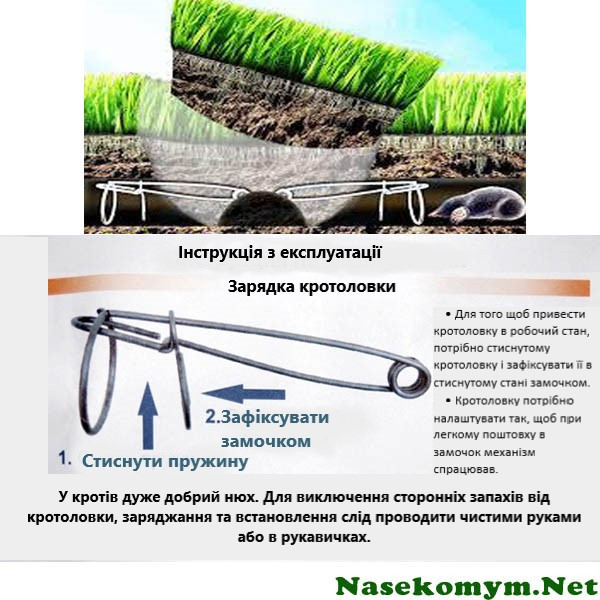 Кротоловка 2 шт Киев - изображение 3