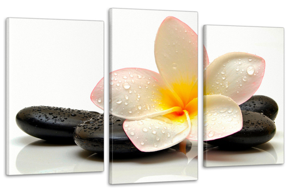 Модульная картина в гостиную / спальню  Квітка Орхідея Art-654_3 70x130 см Киев - изображение 1