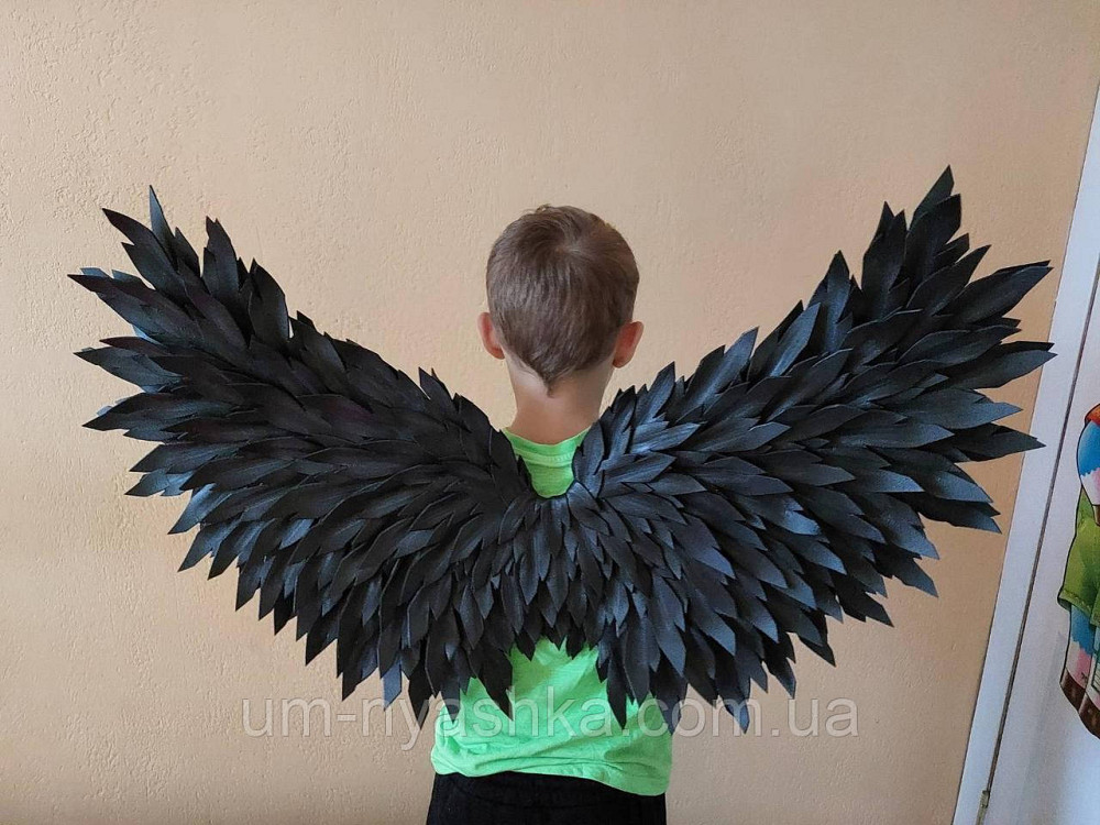 Червоні Крила великі Кривий Ріг - фото 9