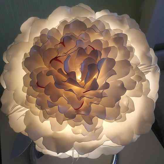 Світильник-нічник "Білий півонія на сріблі" Дніпро