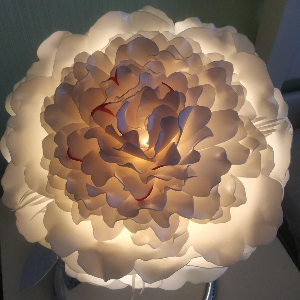 Світильник-нічник "Білий півонія на сріблі" Дніпро - фото 5