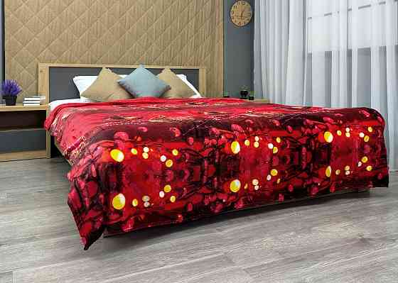 Плед-покрывало 200х230 см с рождественским принтом Разноцветный (87-323) Киев