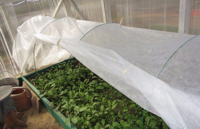 Полотно 10м 60 г/м² плотности для парника, белое прошитое агроволокно Днепр - изображение 6