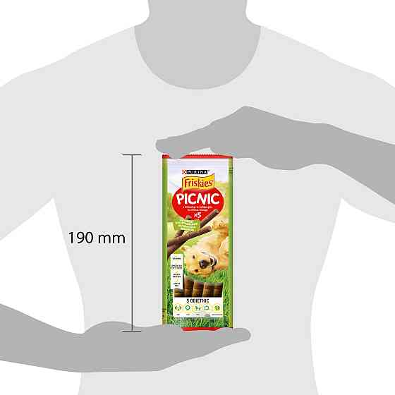 Лакомство FRISKIES Picnic для взрослых собак, с говядиной, 42 г Киев