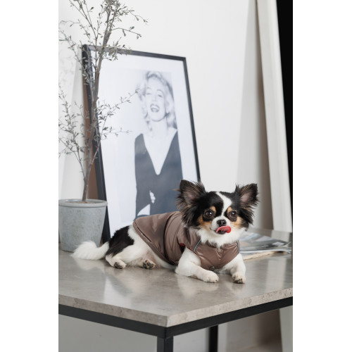 Жилет Pet Fashion Hardy для собак утепленный водонепроницаемый с отверстием для поводка бежевый размер L Киев - изображение 7
