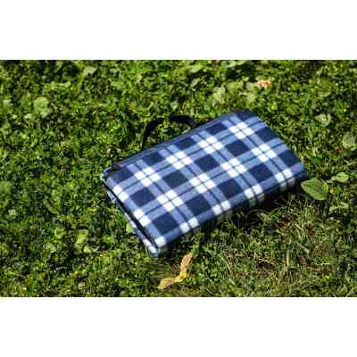Плед Ardesto Picnic 130х170см, 100% полиэстер, клетка синий (ART0916BC) Винница