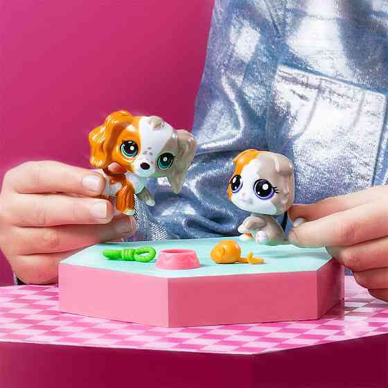 Ігровий набір Littlest Pet Shop - Друзі-двійники Дніпро