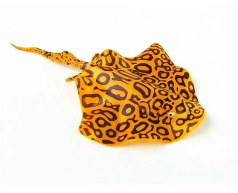 Рыба-дьявол светящаяся. Яркий декор в аквариум Золото Киев - изображение 4