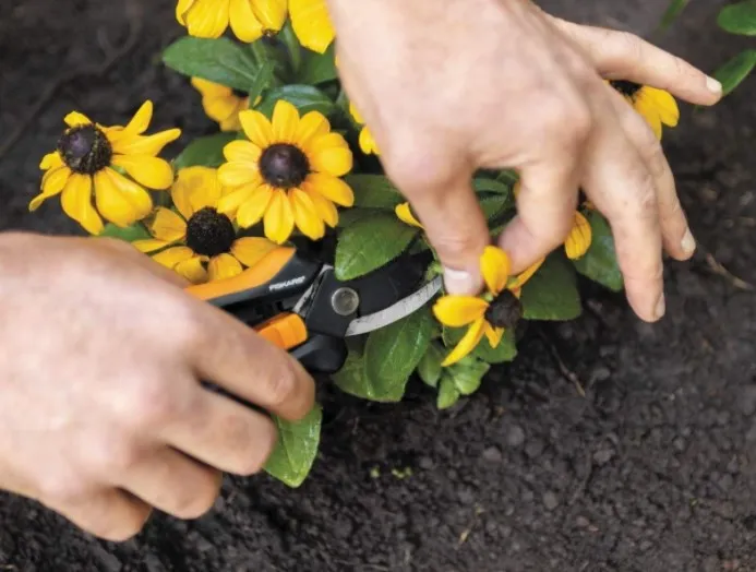 Секатор для Квітів 22 см Fiskars "Solid SP14" (1051601) Нержавіюча сталь Нововолинськ - фото 8