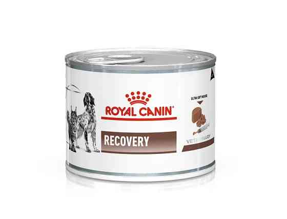 Royal Canin Recovery (Роял Канін Рекавері) вологий корм для собак і кішок для відновлення після хвороби 0.195 кг. х 12 шт. Запоріжжя
