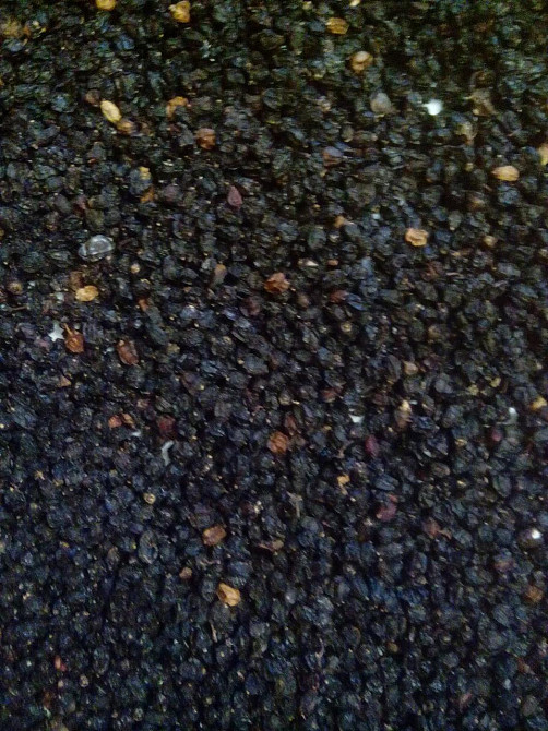 Бузина черная (ягода), 100г. MasterSEM Киев - изображение 2