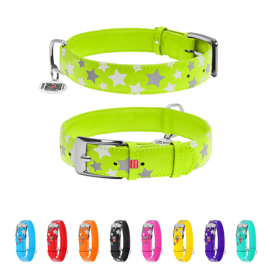 Нашийник для собак шкіряний WAUDOG Glamour з QR паспортом, візерунок "Зірочка", світлонакопичув Коломия - фото 1