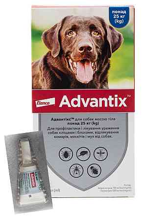 Капли Адвантикс для собак весом от 25 до 40 кг (4,0 мл 1 пипетка) Elanco (срок до 02.2026 г) Винница
