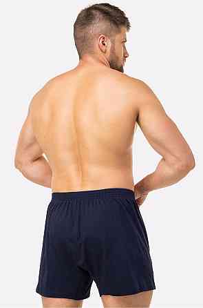 Труси чоловічі бокси Lans 01/004 M, Синій Київ