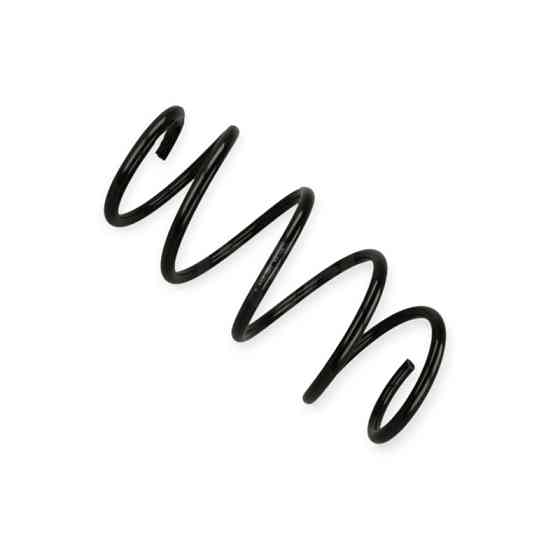 Пружина Renault Scenic II, Grand Scenic II 1.9-2.0D (03-09) передняя Мукачево