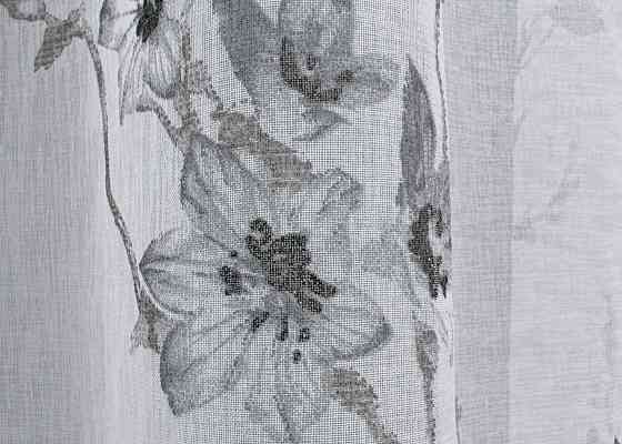 Тюль батист, колекція «Flora» колір білий з сірим принтом 1541т Київ