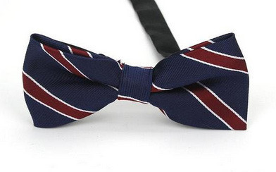 Бабочка мужская на шею синяя полоска Киев - изображение 1