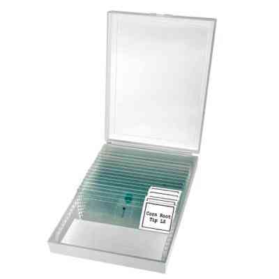 Микроскоп Bresser Erudit Basic Bino 40x-400x (922746) Винница