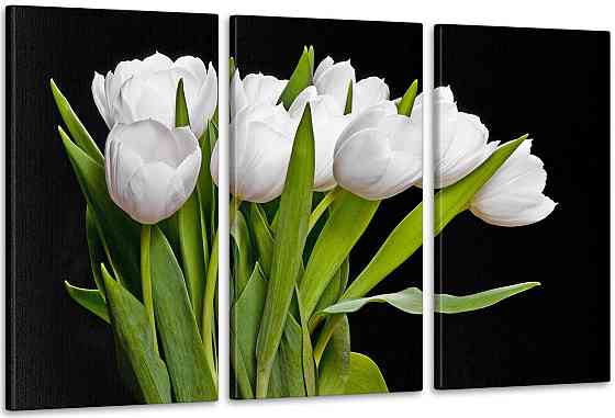 Модульна картина Квіти Тюльпани Аrt-86_3А Київ
