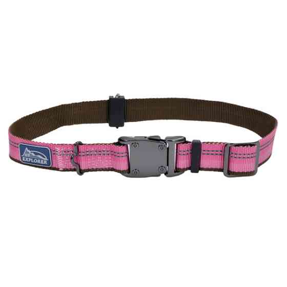 Coastal K9 Explorer Collar КОСТАЛ К9 ЭКСПЛОРЕР светоотражающий ошейник для собак, 2.5х46-66см Киев
