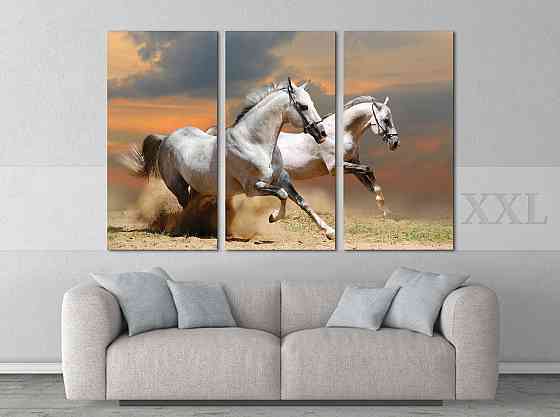Модульна картина Коні Art-81_XXL Київ