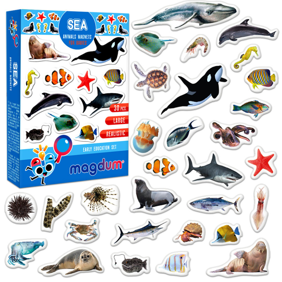 Дитячий набір магнітів Морські мешканці фото ML4031-28 EN Вінниця - фото 1