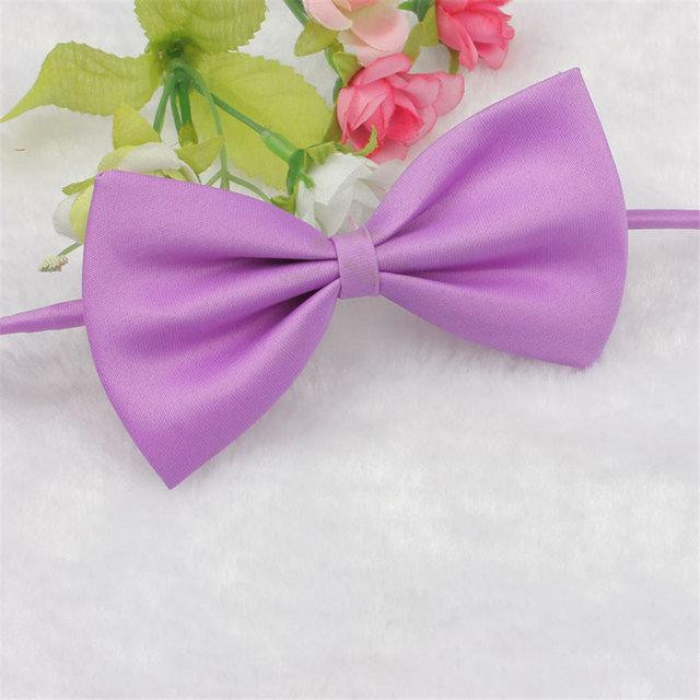 Бабочка бант для собаки и кошки Киев - изображение 1