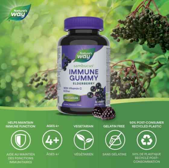 Чорна бузина для імунітету Nature's Way Sambucus Gummies 60 таб Київ