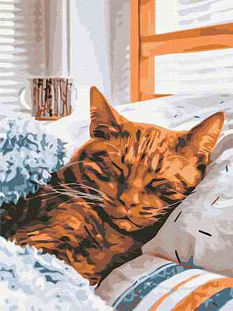 Утренний котик Київ