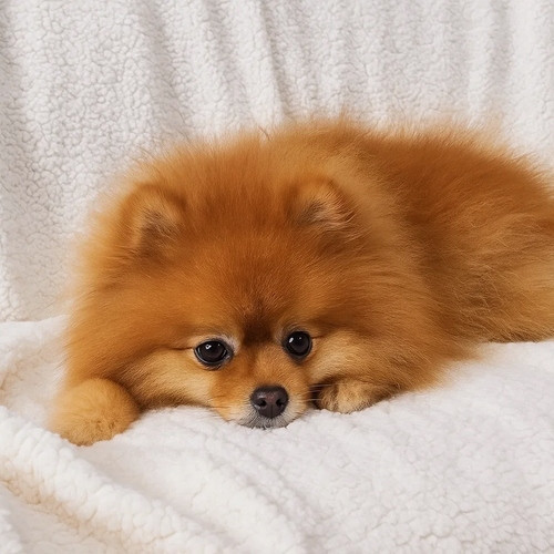 Двустороннее одеяло теплое 200х150 см Ruhhy (26292) Тёмно-серое Нововолынск - изображение 8