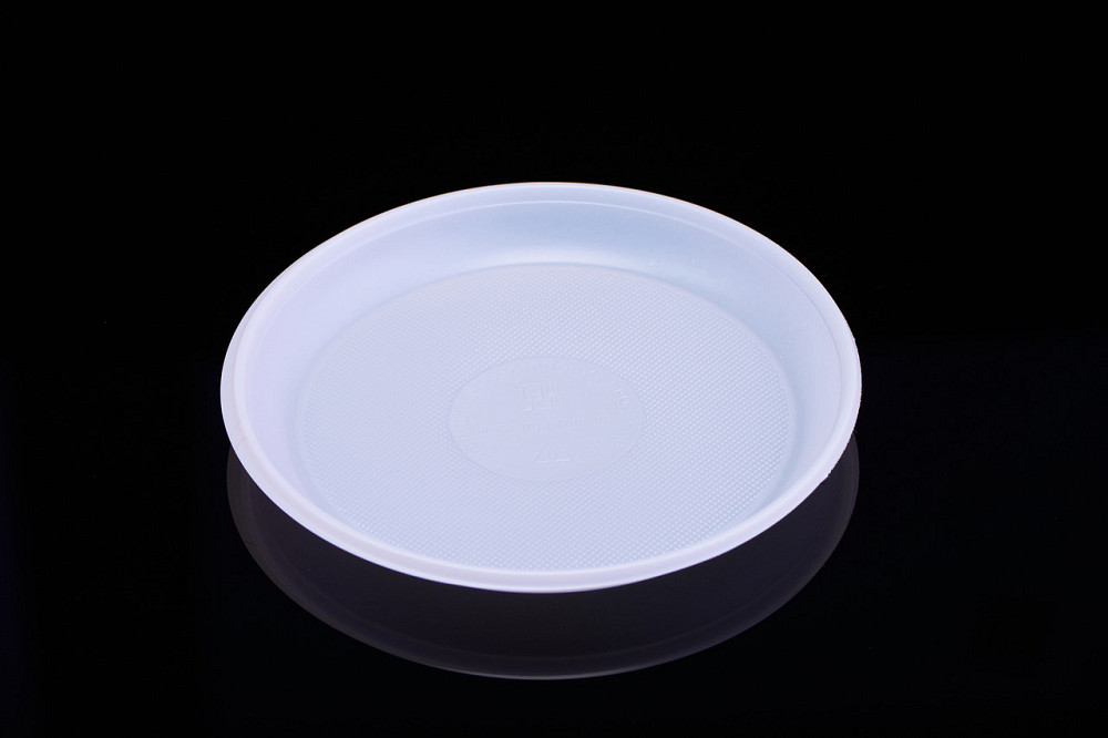 Тарелка одноразовая пластиковая 205 мм Павлоград - изображение 3