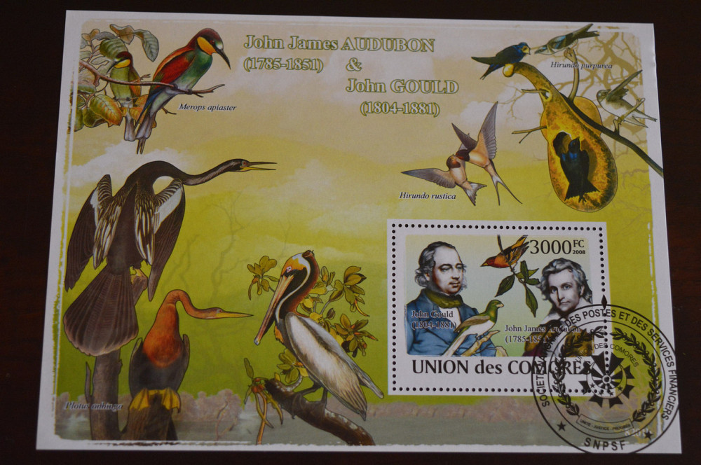 Коморы. 2008 год. Фауна (Б) Полтава - изображение 1