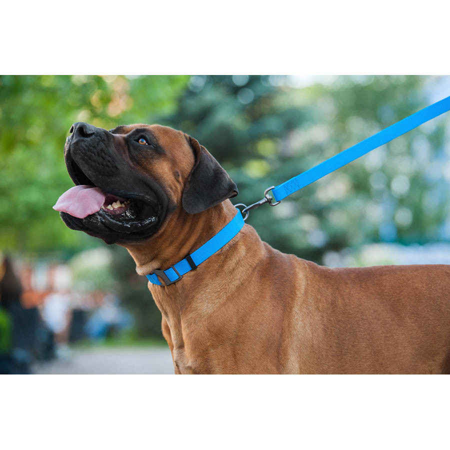 Повідець для собак водостійкий WAUDOG Waterproof, L-XXL, Ш 25 мм, Дов 122 см блакитний Коломыя - изображение 7