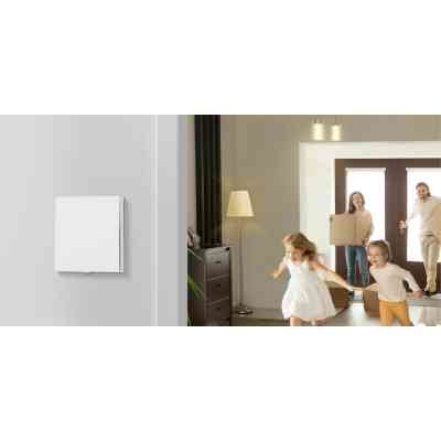 Розумний вимикач TP-Link Tapo S210 868 MHz 250V 4A (TAPO-S210) Вінниця