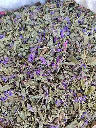 Плакун трава / Дербеник (трава), 100г. MasterSEM Киев