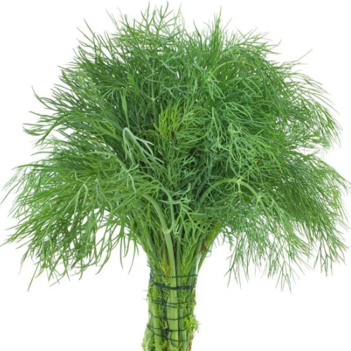 Кріп Анет 2гр Професійне насіння Житомир - фото 3