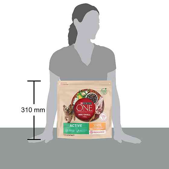 Сухий корм PURINA ONE Mini/Small Active для дорослих собак дрібних порід, з підвищеною активністю, з куркою та рисом, 1.5 кг Київ