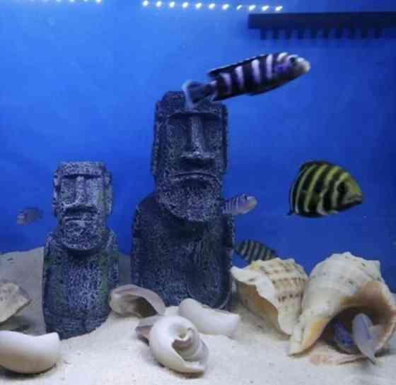 Декор для акваріума Статуя острова Пасхи 175 на 75 на 55 сірий Київ