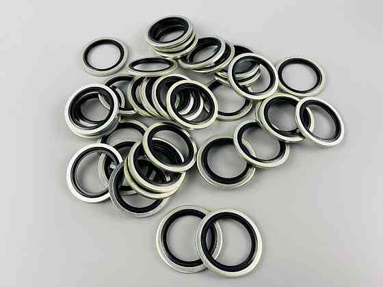 Набір шайб із гумовими кільцями (100 шт.) для будь-якої гідравліки. Мукачево