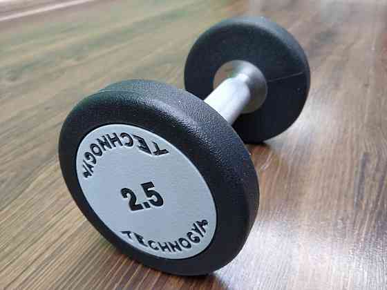 Гантель 2.5 кг цільна поліуретанова TECHNOGYM Київ