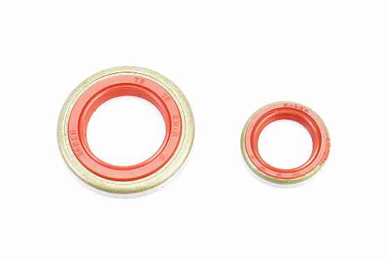 Сальники к-кт 2шт (13x19x4; 18x29, 6x5) MS-440, метал Київ