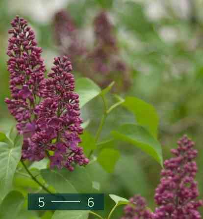 Объектив: Nikon 85 mm. f/1.8D AF Nikkor. Киев