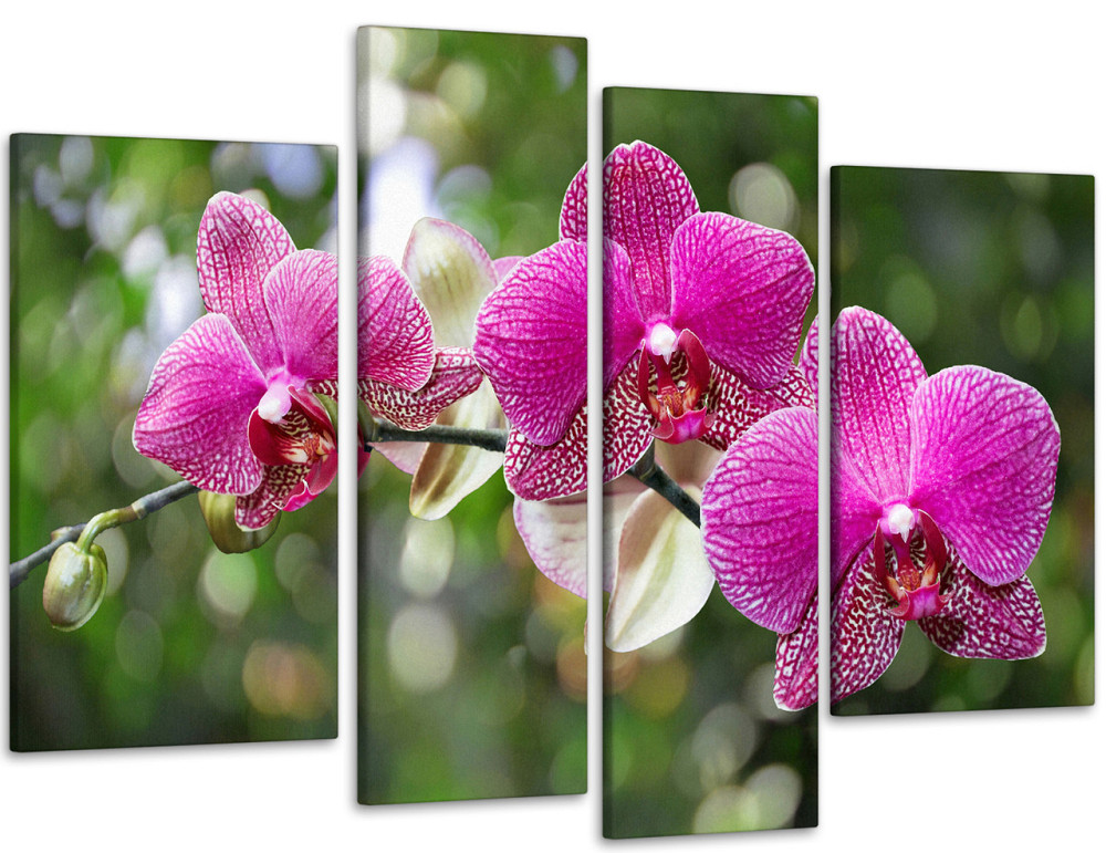 Модульная картина Цветы Орхидея Art-82_4 99x140 см Киев - изображение 1