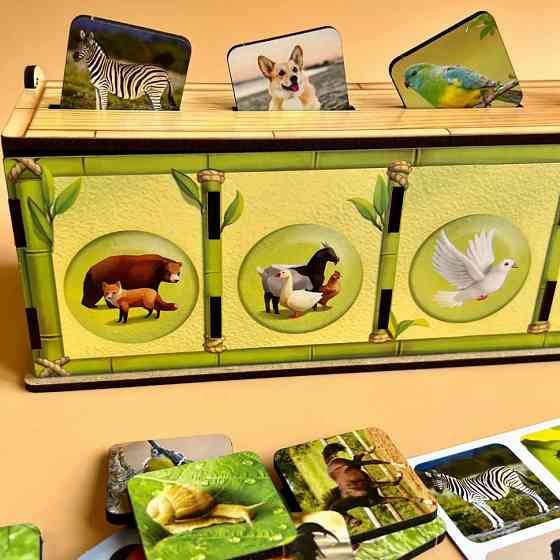 Настольная развивающая игра 