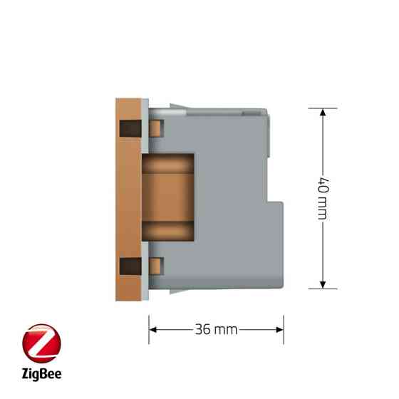 LIVOLO Розумна розетка LIVOLO ZigBee, з заземленням, золота, 16А 230В, керування через Alexa / Коломия
