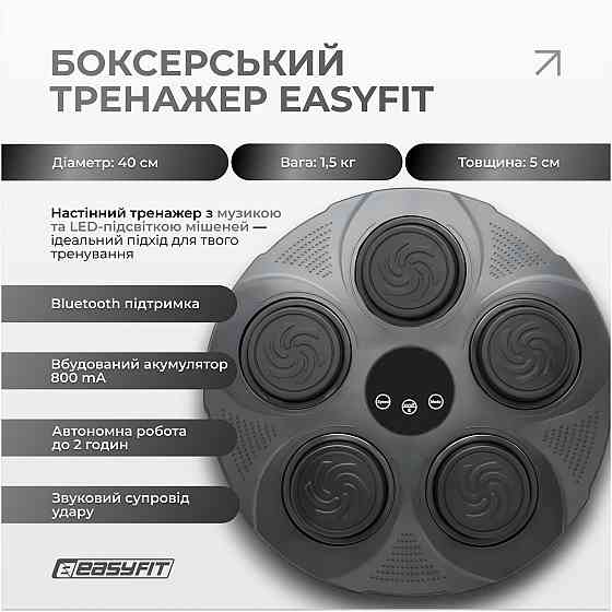 Боксерський тренажер EasyFit настінний музичний з підсвіткою Коломыя