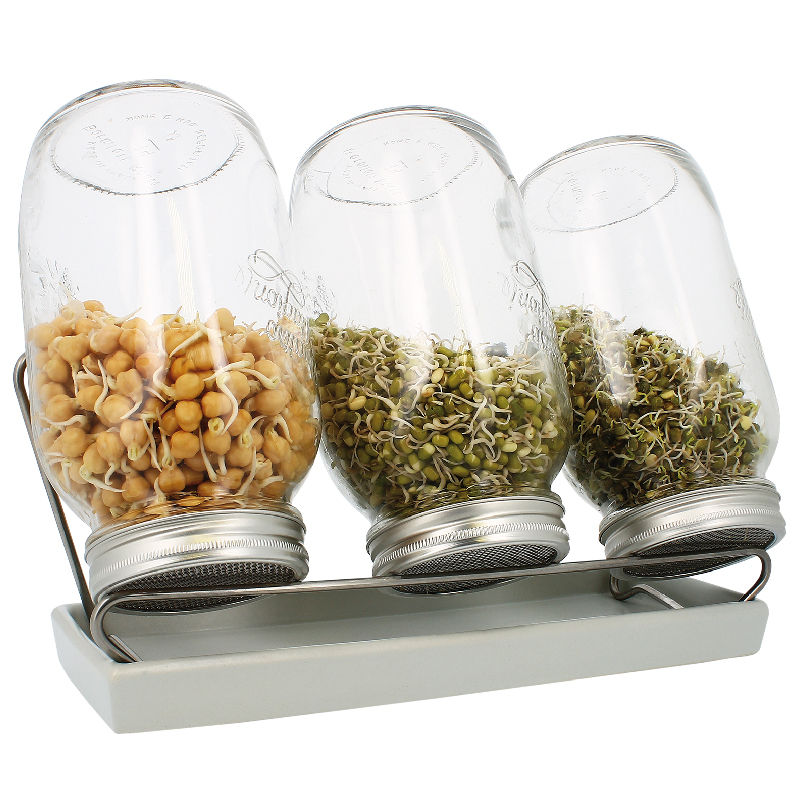 Набір для пророщення насіння Луцк - изображение 1