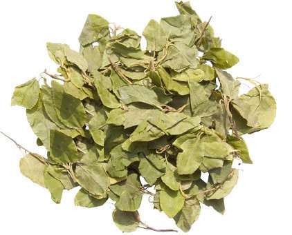 Боровая матка / Ортилия, 500г. MasterSEM Киев - изображение 1