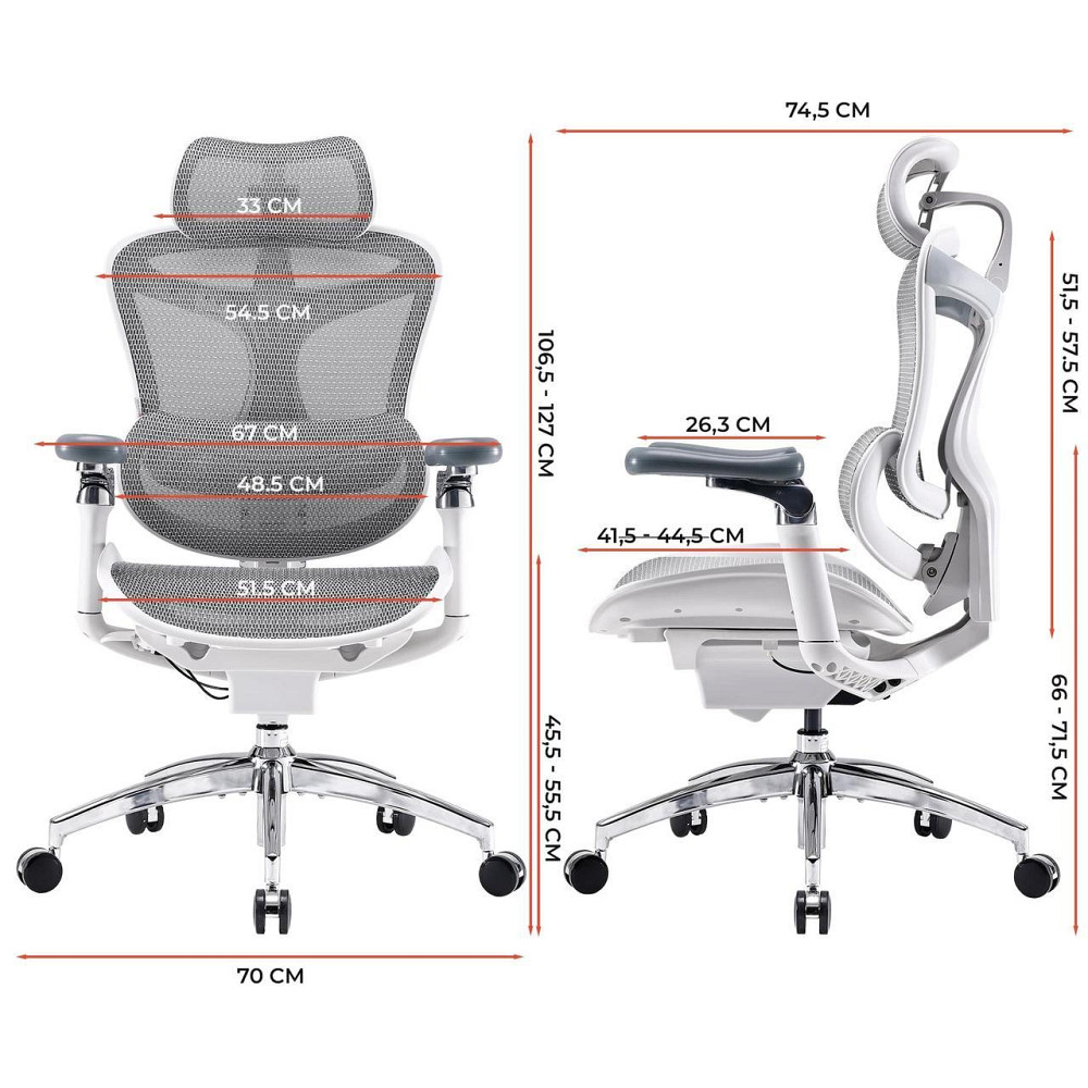 Крісло офісне Sihoo Doro C300 Pro Mesh White (DORO-C300-PRO-M102) ( 11715 ) Харків - фото 14